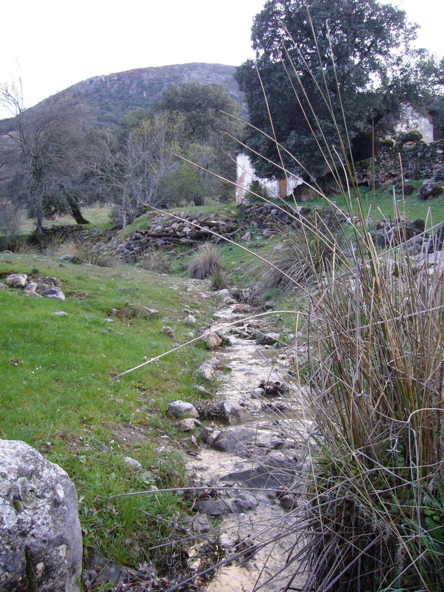 Hostal Restaurante Sierra De La Martina Charilla Exterior foto